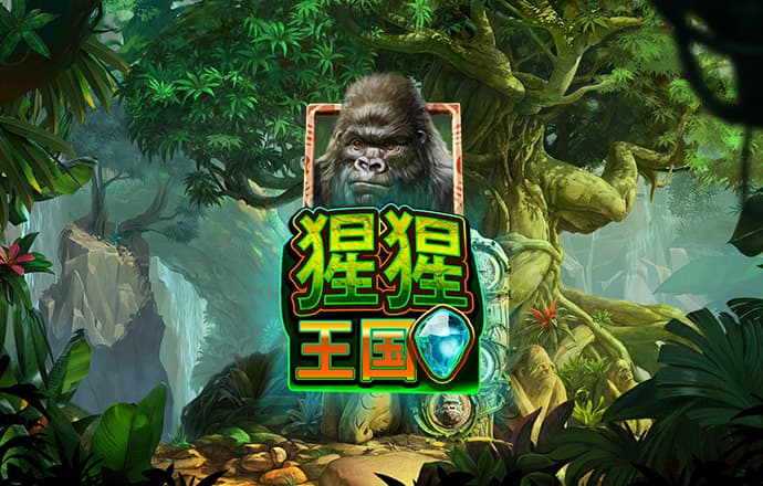 三期内必开一期香港苹果手机版下载